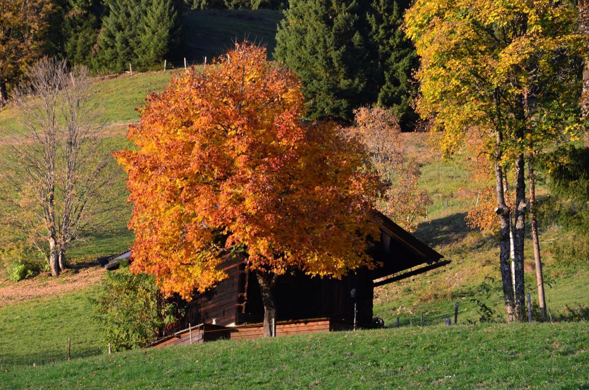 Hof Hamoos Kitzbühel Exterior foto