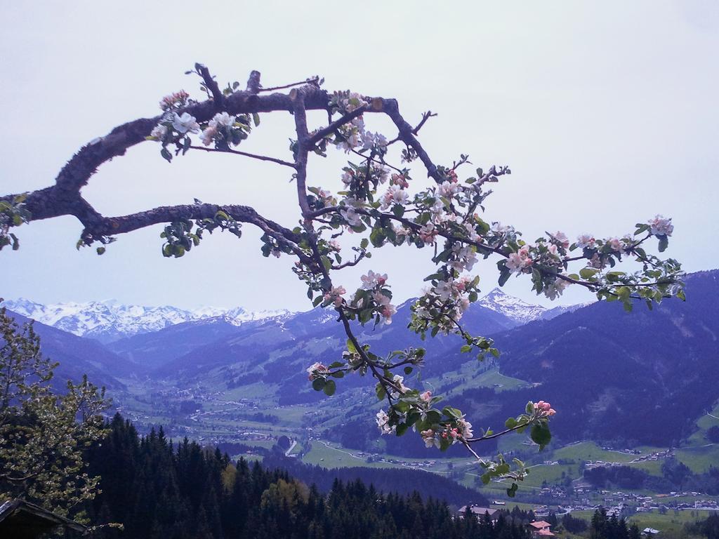 Hof Hamoos Kitzbühel Exterior foto