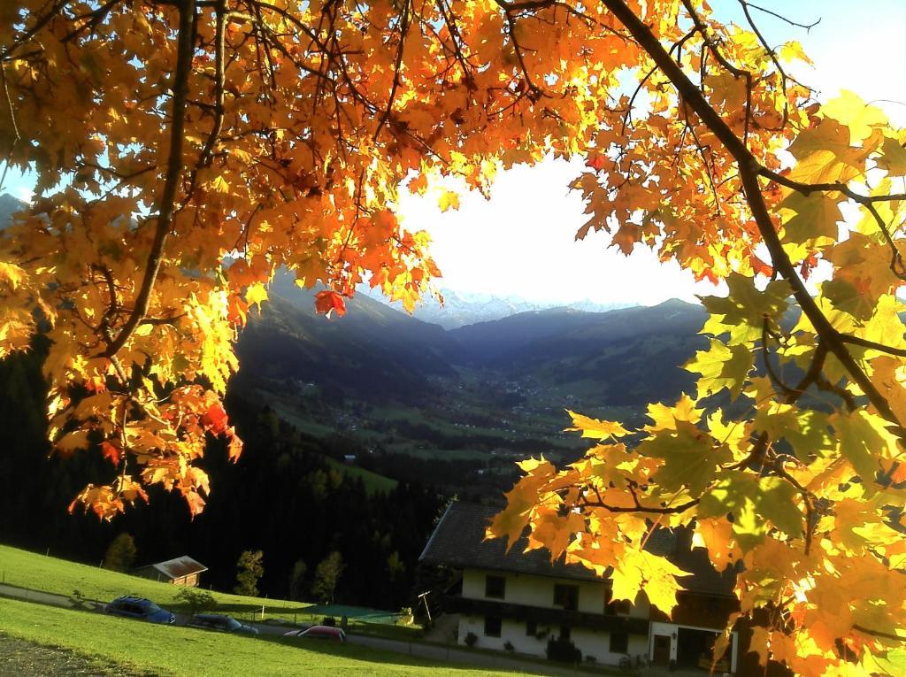 Hof Hamoos Kitzbühel Exterior foto